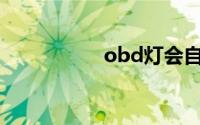 obd灯会自行消除吗？