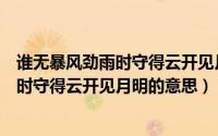 谁无暴风劲雨时守得云开见月明是什么意思（谁无暴风劲雨时守得云开见月明的意思）