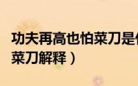 功夫再高也怕菜刀是什么意思（功夫再高也怕菜刀解释）