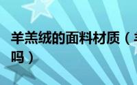 羊羔绒的面料材质（羊羔绒是一种优良的面料吗）