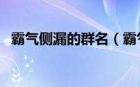 霸气侧漏的群名（霸气独一无二的群网名）