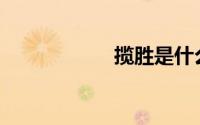揽胜是什么样的车？