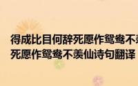 得成比目何辞死愿作鸳鸯不羡仙是什么意思（得成比目何辞死愿作鸳鸯不羡仙诗句翻译）