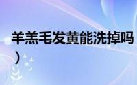 羊羔毛发黄能洗掉吗（羊羔毛发黄能洗干净吗）