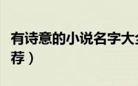 有诗意的小说名字大全（有诗意的小说名字推荐）