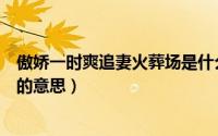 傲娇一时爽追妻火葬场是什么意思（傲娇一时爽追妻火葬场的意思）