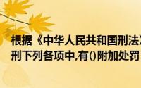 根据《中华人民共和国刑法》的规定在刑罚分为主刑和附加刑下列各项中,有()附加处罚