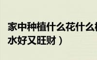 家中种植什么花什么树最好（家里种什么花风水好又旺财）