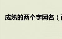 成熟的两个字网名（两个字昵称简单干净）