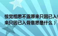 惊觉相思不露原来只因已入骨是什么意思（惊觉相思不露原来只因已入骨意思是什么）