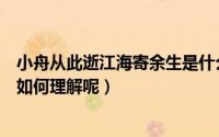小舟从此逝江海寄余生是什么意思（小舟从此逝江海寄余生如何理解呢）