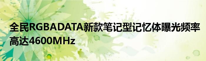 全民RGBADATA新款笔记型记忆体曝光频率高达4600MHz