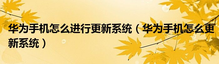 华为手机怎么进行更新系统（华为手机怎么更新系统）