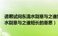 请君试问东流水别意与之谁短长是什么意思（请君试问东流水别意与之谁短长的意思）