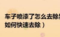 车子喷漆了怎么去除异味（汽车喷漆后油漆味如何快速去除）