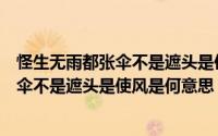 怪生无雨都张伞不是遮头是使风是什么意思（怪生无雨都张伞不是遮头是使风是何意思）