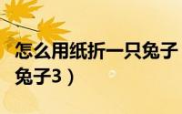 怎么用纸折一只兔子（怎么用纸折一只可爱的兔子3）