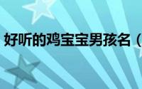好听的鸡宝宝男孩名（好听的鸡年宝宝名字）