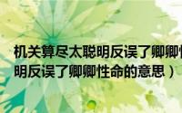机关算尽太聪明反误了卿卿性命是什么意思（机关算尽太聪明反误了卿卿性命的意思）