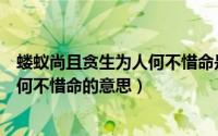 蝼蚁尚且贪生为人何不惜命是什么意思（蝼蚁尚且贪生为人何不惜命的意思）