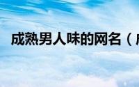 成熟男人味的网名（成熟男人的网名大全）