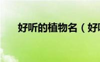 好听的植物名（好听的植物名有哪些）