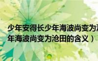 少年安得长少年海波尚变为沧田是什么意思（少年安得长少年海波尚变为沧田的含义）