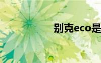 别克eco是什么意思？