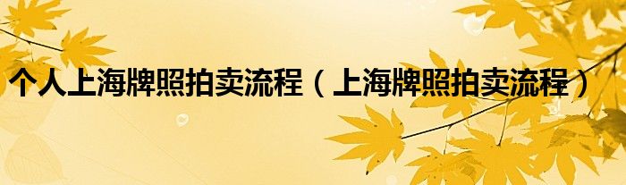 个人上海牌照拍卖流程（上海牌照拍卖流程）