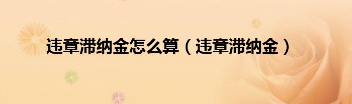 违章滞纳金怎么算（违章滞纳金）