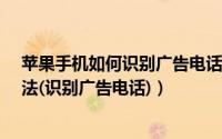 苹果手机如何识别广告电话（iphone来电显示功能开启方法(识别广告电话)）