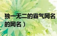 独一无二的霸气网名（独一无二好听又吸引人的网名）
