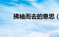 拂袖而去的意思（拂袖而去的解释）