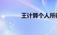 王计算个人所得税报酬所得()