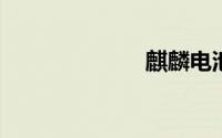 麒麟电池的设计