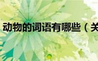 动物的词语有哪些（关于动物的词语有哪些）