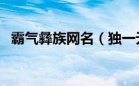霸气彝族网名（独一无二的霸气彝族网名）