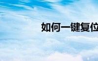 如何一键复位猎豹维修灯？