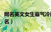 网名英文女生霸气冷酷（霸气冷酷成熟英文网名）