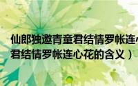 仙郎独邀青童君结情罗帐连心花是什么意思（仙郎独邀青童君结情罗帐连心花的含义）