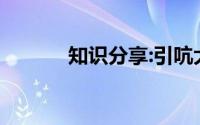 知识分享:引吭大叫的吭的意思