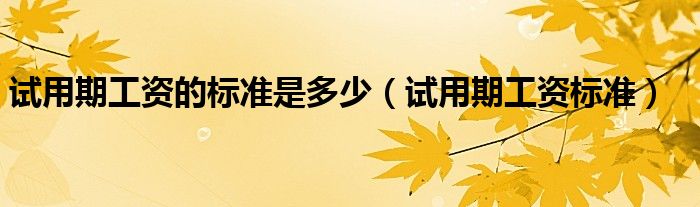 试用期工资的标准是多少（试用期工资标准）