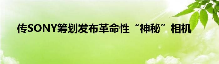 传SONY筹划发布革命性“神秘”相机
