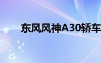 东风风神A30轿车投放中国汽车市场