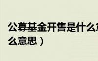 公募基金开售是什么意思（公募基金配售是什么意思）