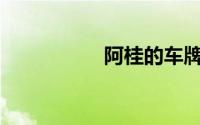 阿桂的车牌号在哪里？