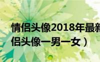 情侣头像2018年最新版单人一对（好看的情侣头像一男一女）