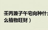 壬丙兼子午宅向种什么旺财（家里适宜种植什么植物旺财）