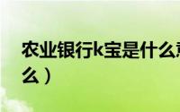 农业银行k宝是什么意思（农业银行k宝是什么）
