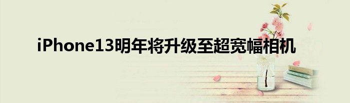 iPhone13明年将升级至超宽幅相机